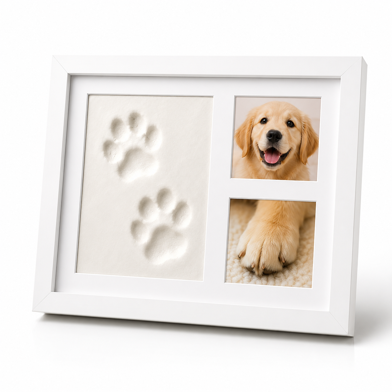 Pawcast Memory Kit