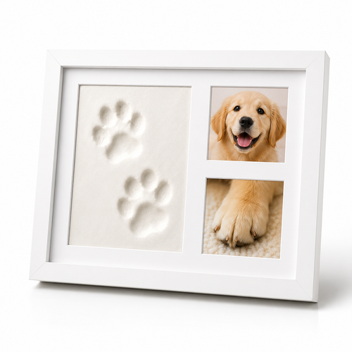 Pawcast Memory Kit