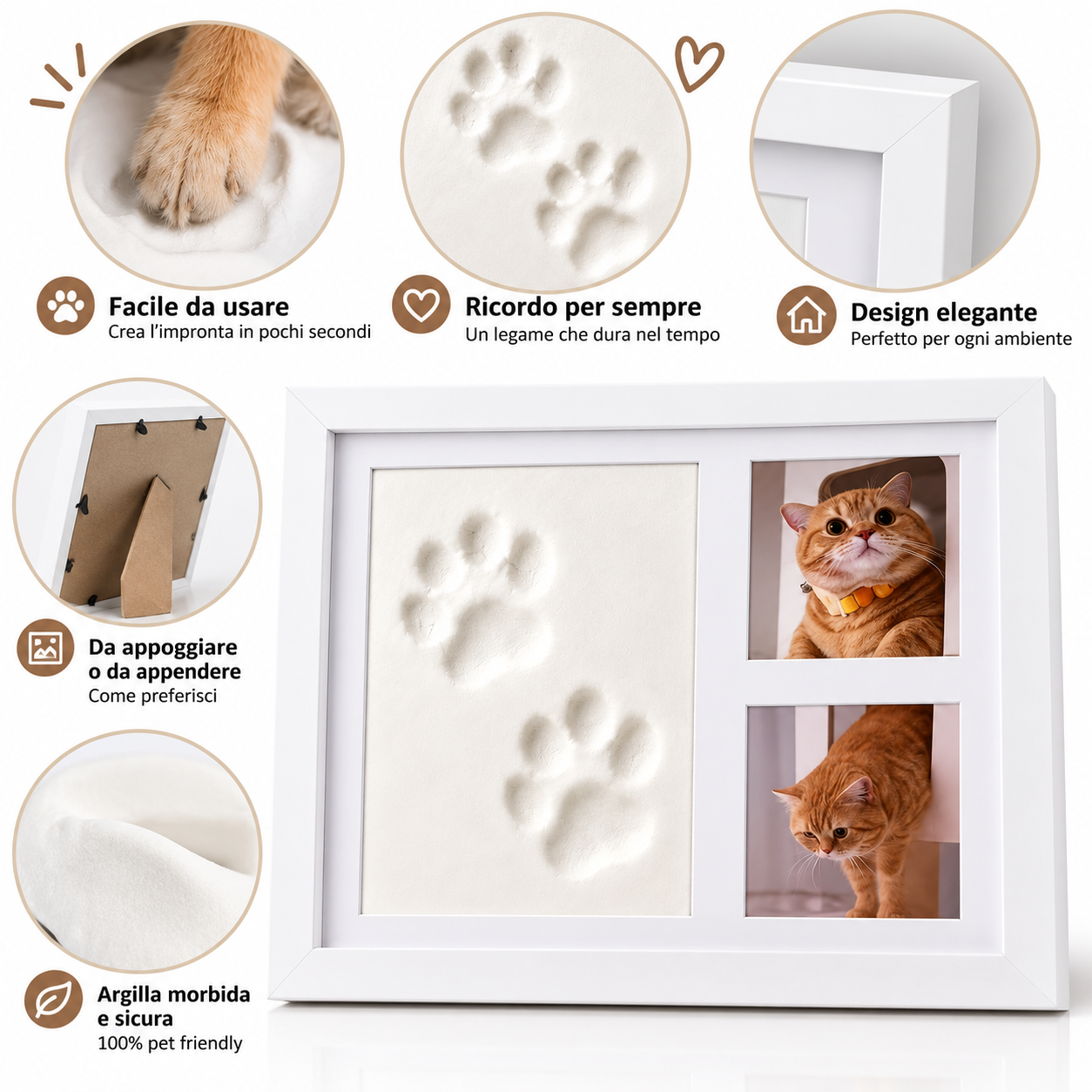 Pawcast Memory Kit