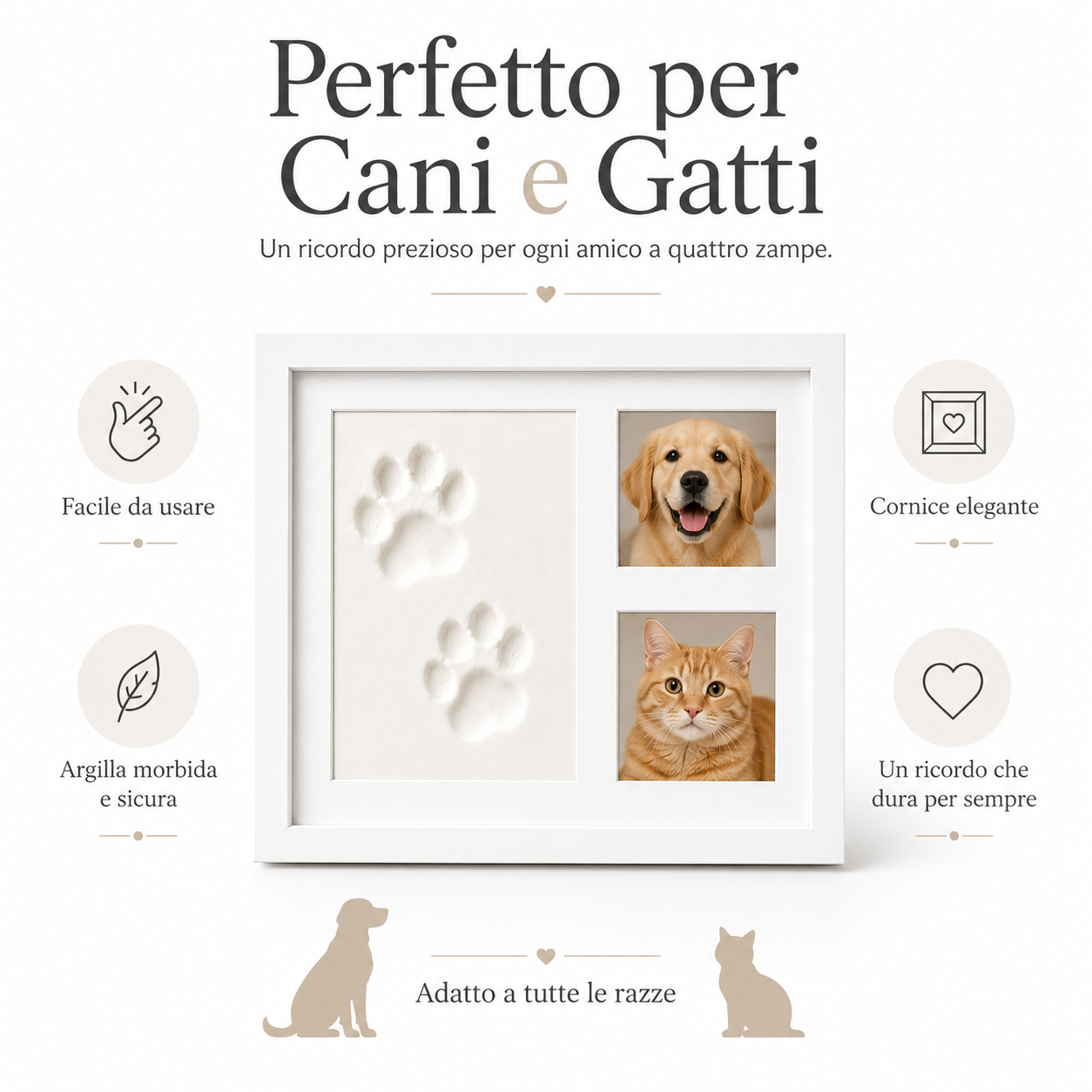 Pawcast Memory Kit
